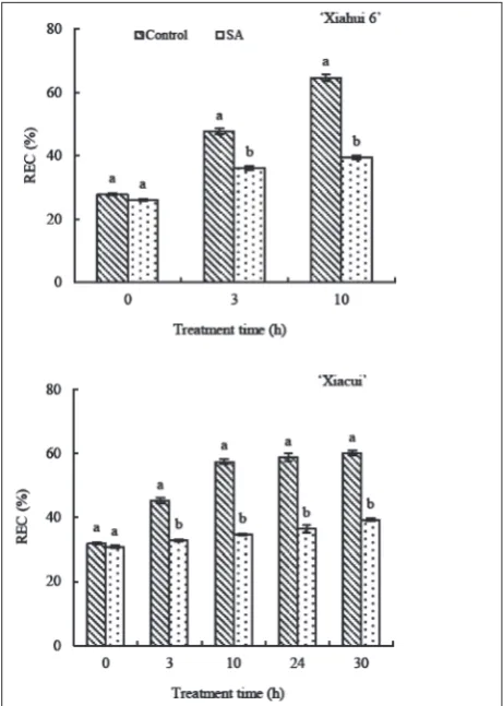 Fig. 3. Influence of exogenous SA on peach stigma REC under freezing stress. Values are means±standard error