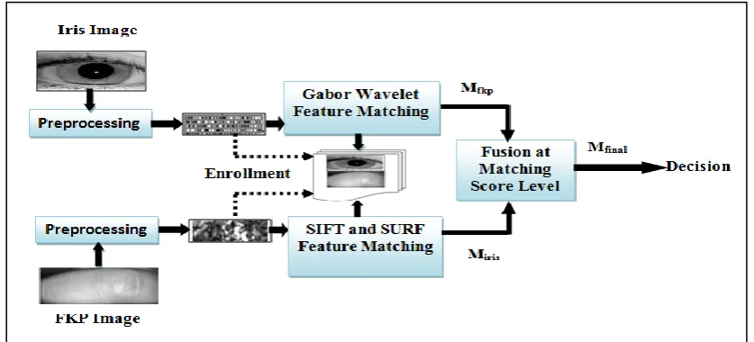 Figure 1. Architecture of the proposed multimodal recognition method. 