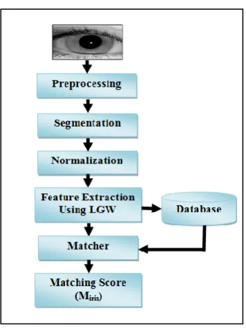 Figure  6. Iris feature extraction method 