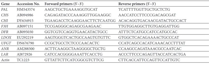Table 1. Primers for quantitative real-time PCR
