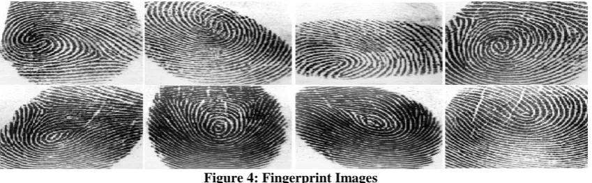 Figure 3: Face Images 