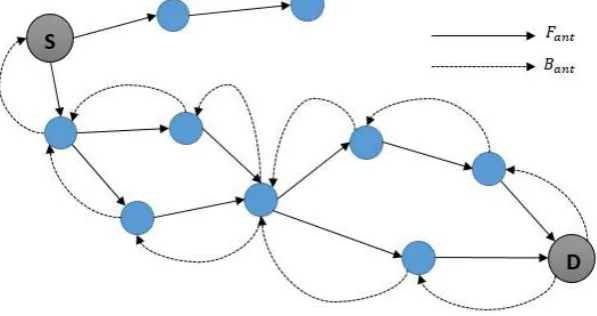 Figure 2. Route Discovery Phase in Ant Colony Routing  