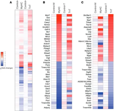 Figure 3. mRNA-seq analysis. (A) Heatmap illustrating fold-change in abundance of each mRNA relative to the mean of the littermate controls (the mean of control-M and control-T); 406 genes were differentially expressed (P < 0.001, q < 0.05, using 2-sided u