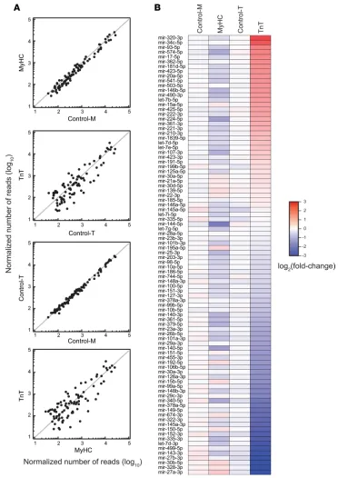 Figure 5. miRNA-seq analysis. (replicates for all other mice). Ninety-two miRNAs whose mean abundance was more than 100 reads per million total reads in at least 1 of the 4 mice analyzed are shown