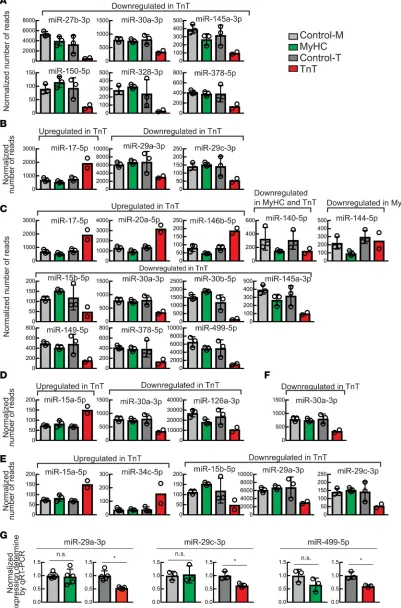 Figure 6. Differentially expressed miRNAs implicated in cardiac disease and mitochondrial function