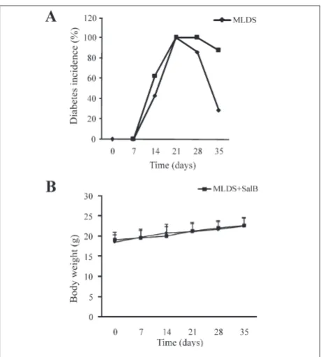 Fig. 3. In vivo effect on SalB on T1D. T1D was induced in male C57BL/6 mice by the administration of STZ (40 mg/kg b.w., i.p.) for five consecutive days