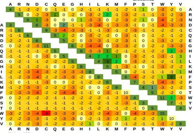 Fig. 3 Comparison of BLOSUM62 and Hubsm250 matrix. The BLOSUM62 matrix is given on the upper right, while  `Hubsm250 matrix is given on the lower left