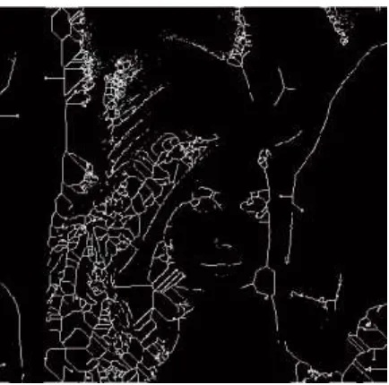 Fig. 6.3: Thinned Image using Zhang-Suen Algorithm 