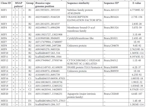 Table 3. Molecular characterization of fragments showing different expression in autotetraploids according to cDNA-AFLP analysis