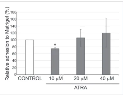 Fig. 4. Pharmacologically relevant concentration of ATRA decreased the adhesion capability of U251 cells