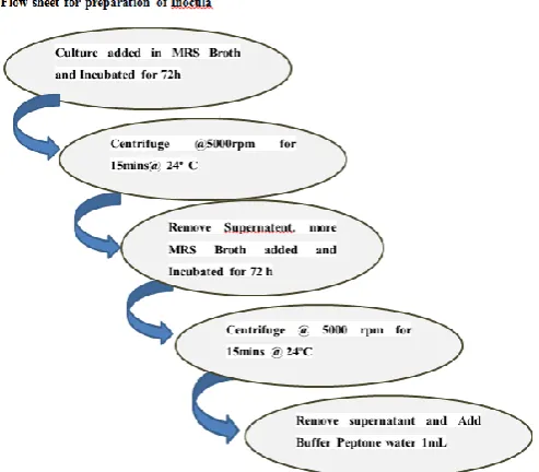 Figure 2 Preparation of fermented and non-fermented soy milk 