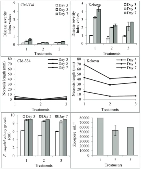 Fig. 1. Effect of proline application prior to exposure of pepper capsiciseedlings to P