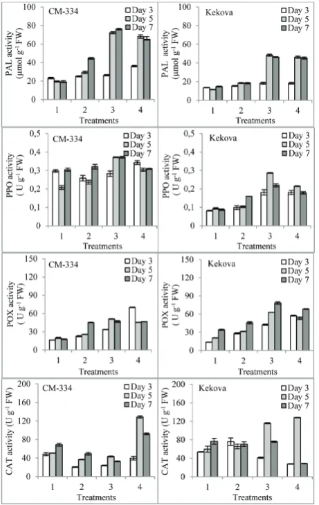 Fig. 3. Effect of proline application prior to exposure of pepper mM proline +seedlings to P