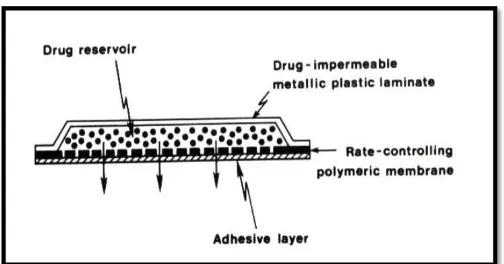 Fig 4: Membrane permeation controlled system 