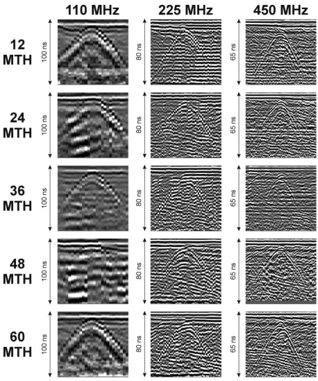Fig. 1. Representative GPR 2D profiles, from 110, 225 and 450 MHz records over 