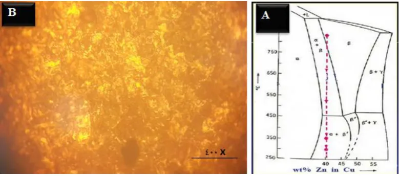 Fig. 3 a) Zinc – Copper phase diagram b) Metallographic structure of yellow brass at 400X