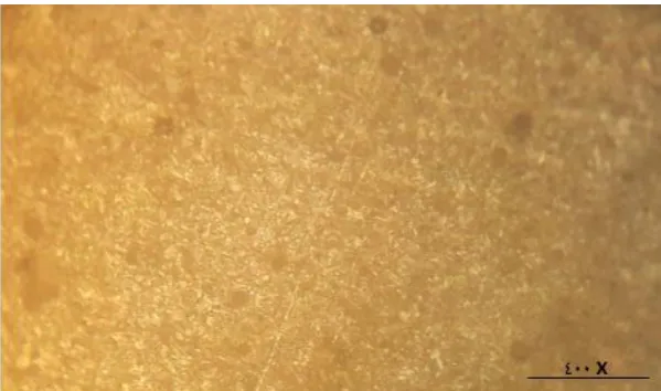 Figure 4:  Metallographic structure of the surface of a 1 mm thick brass coating on plain carbon steel with 400 X magnification in thermal spraying