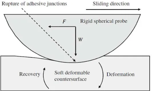 Figure 10.  A Schematic of a Rigid Spherical Probe Sliding on a Soft Counter-surface (from Adams et al