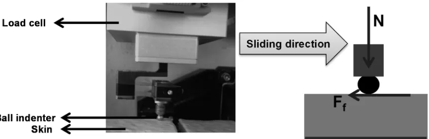 Figure 4.  Measurement System for Friction Force (N – Normal Load; Ff – Friction Force) 