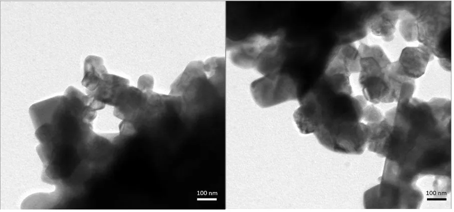 Figure 4. Representative transmission electron microscope micrographs of the calcined 