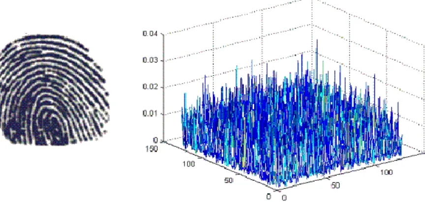 Figure 2.4.  Matching of two different images: many peaks are present. 