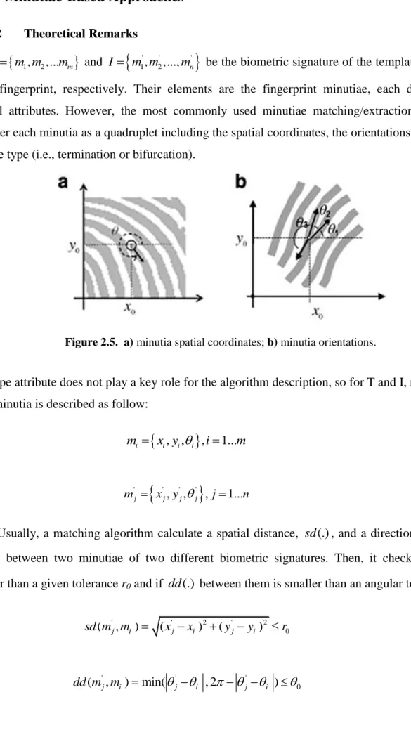 Figure 2.5.  a) minutia spatial coordinates; b) minutia orientations. 