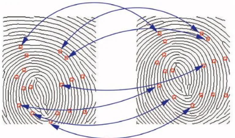 Figure 2.6.  Example of a minutiae-based matching: each arrow is linked to a pair of matched minutiae
