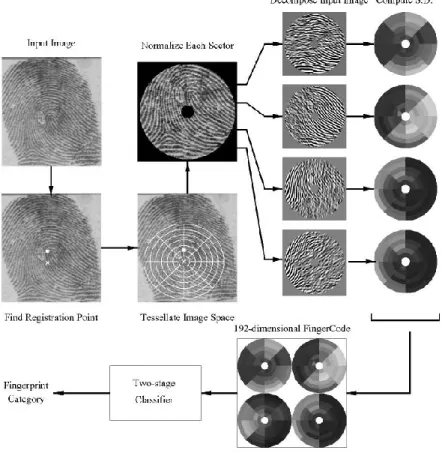 Figure 3.2: Flow diagram of the multi-channel approach to fingerprint classification [13]
