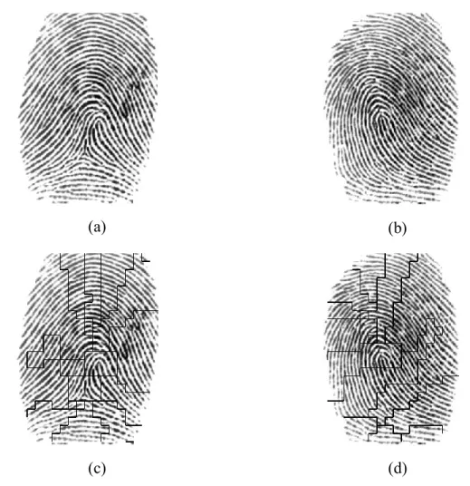 Figure 3.5: An example of two fingerprint images taken from different fingers (a, b), and  the resulting decomposed images (c, d)