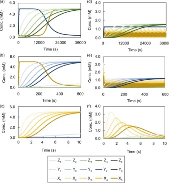 Figure 3. Time course of numerical solutions by the conventional method; The calculation step set to 10 s.set to 36,000 s (10 h), those of (b) and (e) were set to 600 s (10 min), and those of (c) and (f) were models A, (d), and (e), and (f) shows the resul