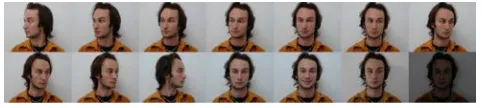 Fig .6 Indian Face Database 