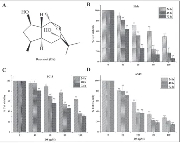 Fig. 1. The effect of DS on cell proliferation. A – Structure of DS. B, C, D – Concentration-dependent effects of DS on cell viability of cervical, prostate and lung cancer cell lines, HeLa, PC-3 and A549, respectively, after incubation with DS for 24-72 h