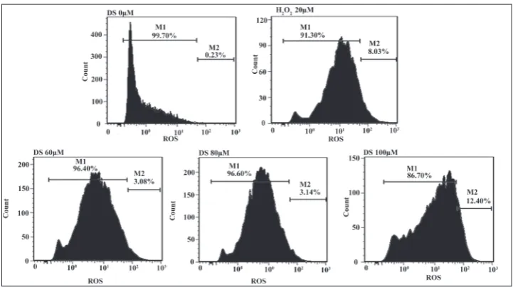 Fig. 4. Effect of DS on ER stress (right) and on the expression of LC3B-II and ubiquitinated proteins (left) in the PC-3 cell line