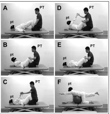 Figure 1. Park et al.: procedure for the trunk exercise program. 