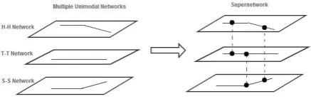 Figure 2. The Supernetwork Framework for SWoT