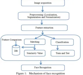 Figure 1:   Mechanism of face recognition 