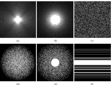Figure 1. Under-sampling patterns at 25%: (a) Radial with 70 lines; (b) Spiral; (c) Random; (d) 2D variable density; (e) 2D variable density with 25 point fully sampled center radius; (f) 1D variable density with 32 line fully sampled center