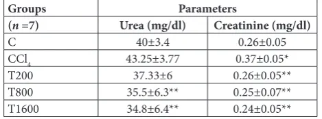 Table 5. Absolute length (m) of the proximal and distal convo-luted tubules (PCT, DCT), collecting ducts (CD), loop of Henle (LH) and vessels (VES) in the control and experimental groups treated with Allium saralicum R.M