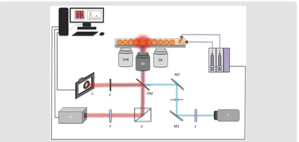 Figure 3: Different methods for artificial soft bio-mimetic membrane fabrication: (a) A suspended open chamber microfluidic system for planer suspended bilayer, (b) W/O/W double emulsion by microfluidic approaches and (c) droplet interface bilayer.