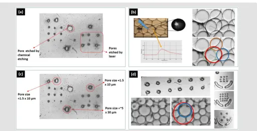 Figure 6: Laser energy and its effect on shape of the perylene pore: (Top) laser energy optimization before and after the microscope objectives (for this study, two microscope objectives were used, a 4x and 10x), (bottom) laser energy and corresponding pore size.