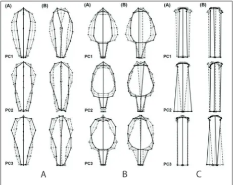 Fig. 2A-C. PCA for individual variation (A) and fluctuating asym-metry (B) in the fall shape (A), standard shape (B) and style arm (C) of Iris pumila