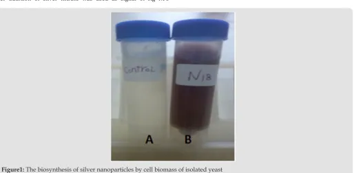 Figure 2: UV–vis spectroscopy analysis of synthesized Ag NPs solution.