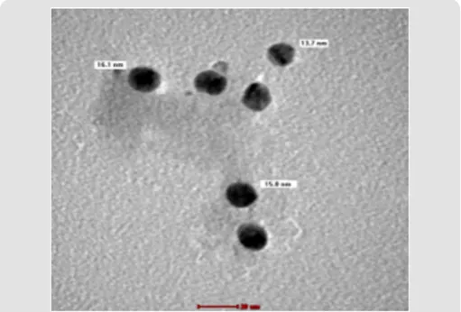 Figure 3 Transmission electron microscopy of synthesized silver The TEM images of the prepared Ag NPs are presented in nanoparticles revealed the formation of spherical in shapes with the size range of 9-35.5 nm