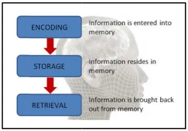 Figure 44: Conceptual Inddividual Memory Processes [47]