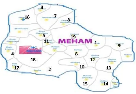 Fig. 1 Map of Meham Block with sampling villages 