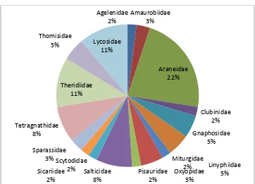 Fig 1 Comparative density (percentage) of spider families recorded during the study period 