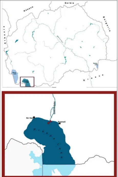 Fig 1. Map of Lake Prespa with the sampling site (A).