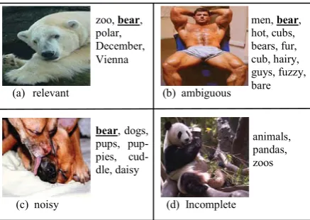 Figure 1(d). Also, in Wikipeida, a panda is defined as a kind of a bear. 