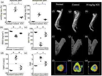 Figure 1. Effect of IGU on bone destruction in adjuvant-induced arthritis (AIA) rats. Arthritis was induced by intradermal injection of killed M