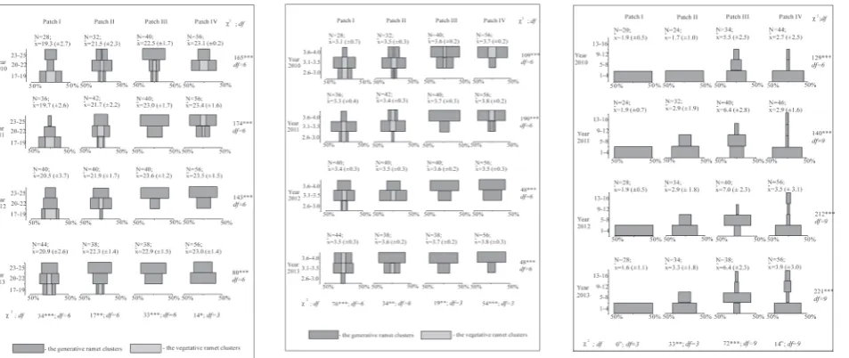 Fig. 2. The structure of developmental stages of subpopulations Succisa pratensis within per-manent plots established in patches of Molinia caeruleae in the years 2010-2013